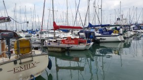 OK this is weird posting, but have a brother and sister living in Seguin! Hi Riley and Sandy