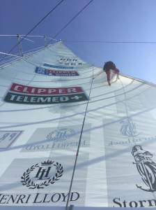 Just hanging on and taping where chaffe line should go.