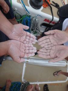 Yes you do get your hands dirty and you get to clean a lot... the bilges (yuk), the heads (toilets, YUK), the dishes when on Mother Watch, etc.