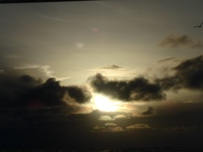 Reminds me of the wonders of nature and all that we have.