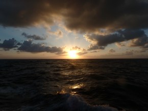 Just another beautiful moment to share