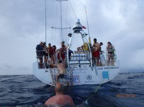 Swim at end of motoring as we wait for the 60 hours to end.