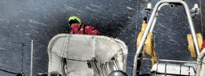 Clipper StephenHelming_crop