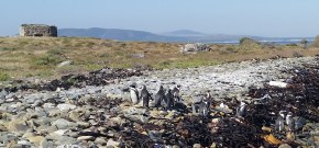 They were little guys.