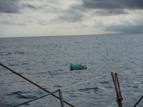 Lots of things float by in the water.  We figure this was part of Robert Redford's boat in the movie All Is Lost