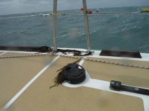 And seaweed left behind form being blown over the side