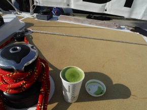 No Chai Lattes in Qingdao! But they do have Green Tea Lattes. 