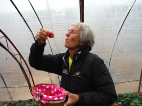 Yep, they were good!