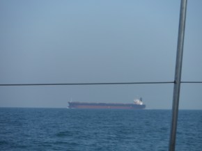 Checking out the passing boats