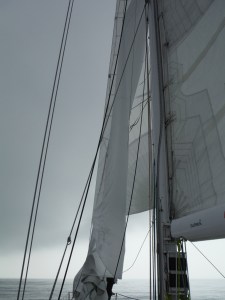 Windseeker cannot even find the wind!