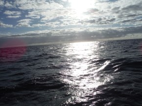 Just love the way the sun reflection simmers on the water