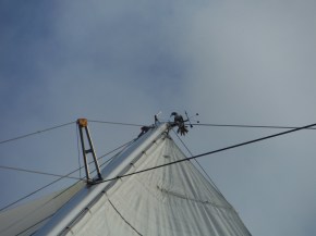 And this one spent the night with us! At least he stayed up there and we knew not to walk anywhere under the mast area.