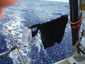 Drying out after squall hit.