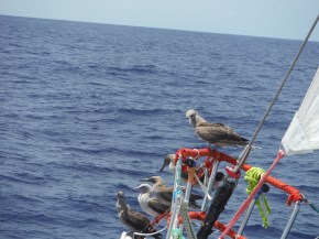 And then his friends came by.