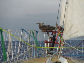 And soon there were 9!