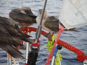 Check out those feet!