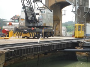 Another feathered friend keeping an eye on us. The big equipment behind the bird is what moves the big boats through.