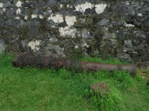 Real old rusty canons.