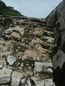 Steps made of shells (as in sea shells). At least that was what we were told.
