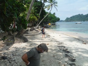 Craig and Jen looking for shells.